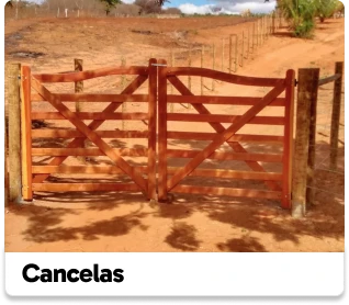Cancelas