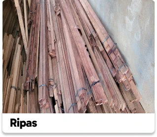 Ripas